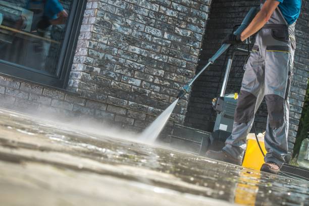 Best Paint Preparation  in Royal Oak, MI
