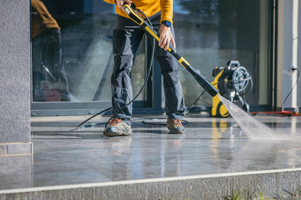 Best Driveway Pressure Washing  in Royal Oak, MI