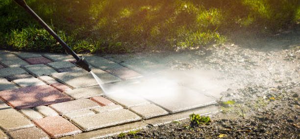 Best Dumpster Area Cleaning  in Royal Oak, MI